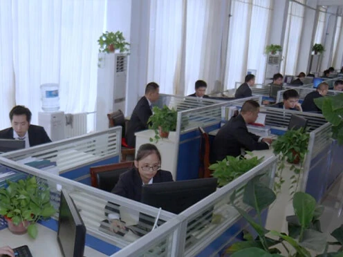 Experienced Engineer Team Experienced Engineer Team